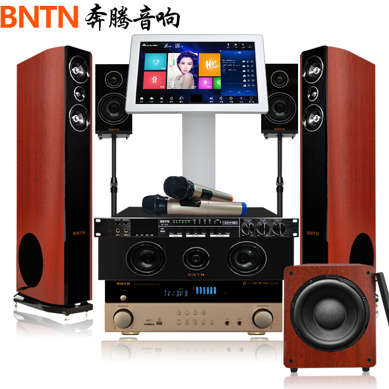 奔腾(BNTN)套装家庭影院KTV音响卡拉OK音箱组合点歌机电视客厅会议音响5.1声道功放低音炮无线话筒效果器全套