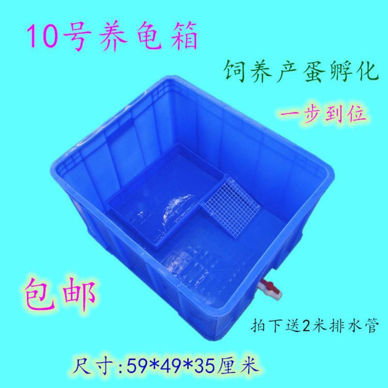 含沙盘爬梯侧排水 蓝色5#箱48*36*18厘米 长方形养龟箱养龟缸超大养龟盘水产养殖箱周转箱造景龟池水族别墅