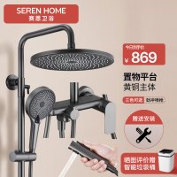 SEREN HOME 赛恩卫浴淋浴花洒套装增压喷枪浴室洗澡喷头莲蓬头黄铜沐浴套装枪灰色黑色