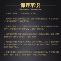 乐带劲10孔C调蓝调口琴 儿童初学者布鲁斯口风琴成人入门乐器教学生练习演奏十孔中小学生音乐课