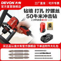 大有口袋钻12V无刷锂电钻手电钻便携冲击钻便携螺丝刀5209
