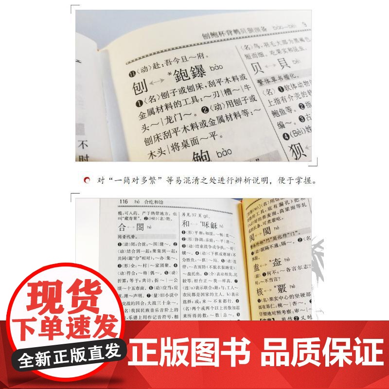 简化字繁体字异体字对照字典 四川辞书出版社 汉语大字典编纂处 著 汉语大字典编纂处 编高清大图