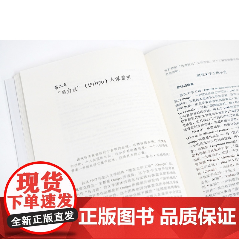 潜在与日常:乔治·佩雷克的写作实践宫林林著中国美术学院出版社自营正版2023年出版文学研究高清大图