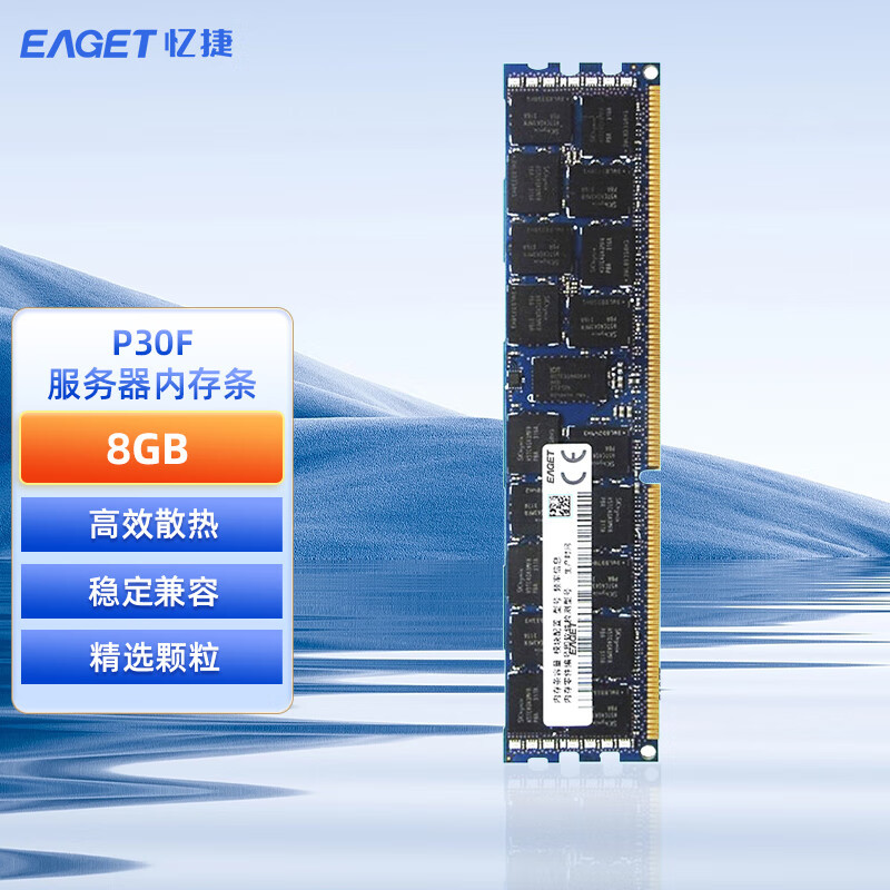 忆捷(EAGET)服务器内存P30F-8G PC4 2666 2933 3200 DDR4 ECC REG