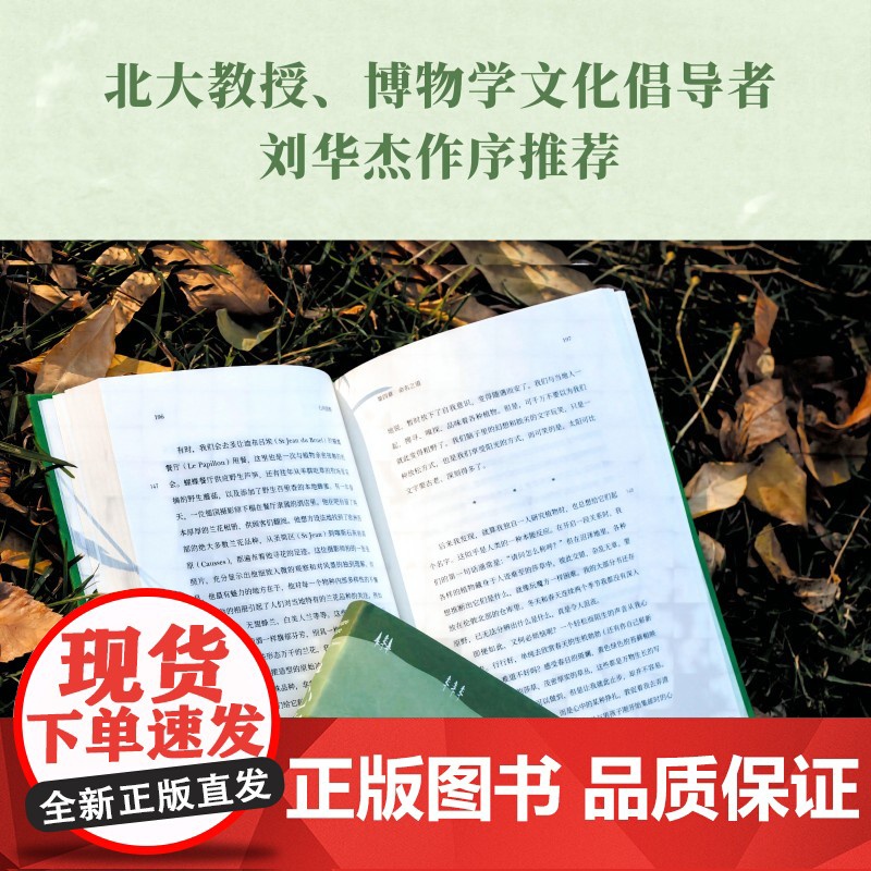 心向原野 自然如何治愈了我(阿来、刘华杰、刘子超、欧阳婷!《杂草的故事》作者理查德·梅比暖心力作!)高清大图