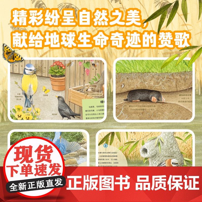 [精装绘本]大自然共生的秘密 5-8岁 自然科普绘本 自然教育 自然观察 生命教育 自然科学 二十一世纪出版社高清大图