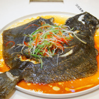 新鲜多宝鱼 海鲜水产新鲜比目鱼海鱼冷冻八宝鱼大菱鮃海水鱼 [三条装] [6-7两]一条