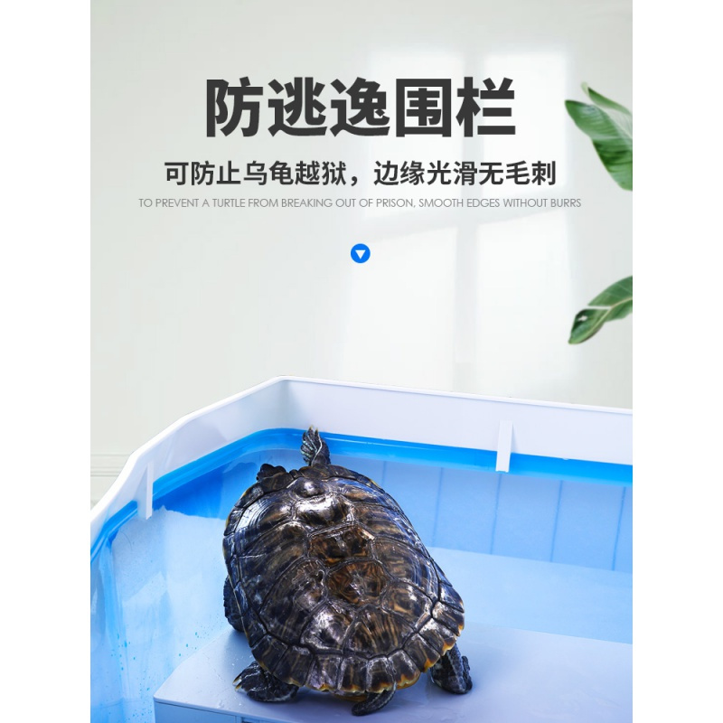 乌龟小乌龟缸带晒台宠物养龟的专用缸鱼缸养乌龟水龟盆水陆缸高清大图