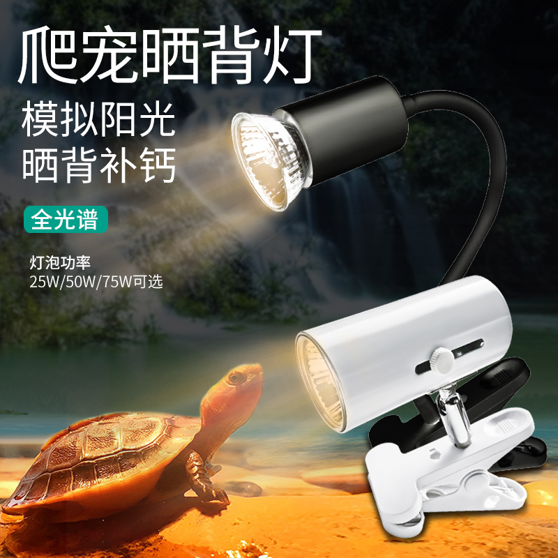 乌龟全光谱爬虫鳄陆龟蜥蜴青蛙太阳灯泡爬宠补钙加热保温灯高清大图