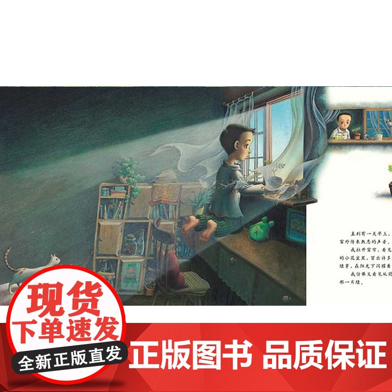 再见小树林硬壳精装图画书幼儿园重点环保系列绘本传达与森林共生歌颂大地植物生命力启发3岁4岁5岁6岁亲子阅读正版童书高清大图