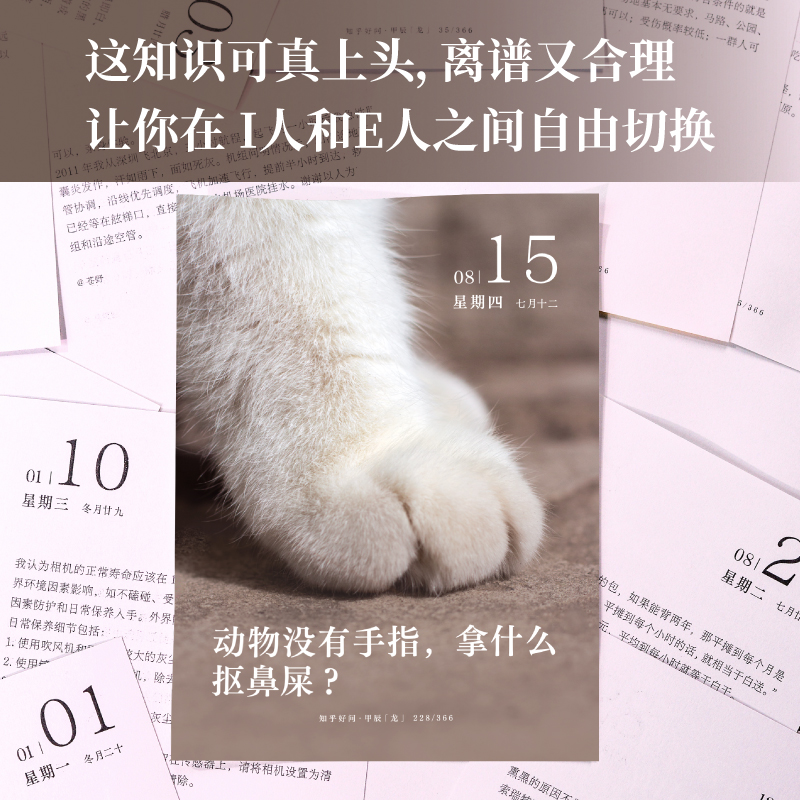 丰子恺漫画日历 [正版]知乎日历 2024 知乎好问日历 创意日历 生活百科日历 十万个为什 办公室桌面手撕 新款定制台高清大图
