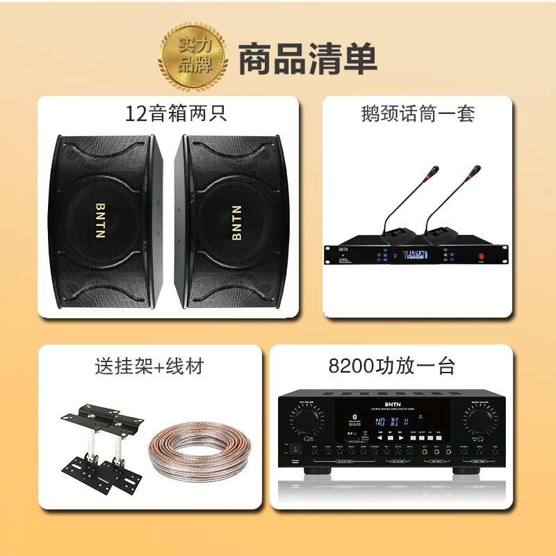 奔腾(BNTN)家庭影院KTV音响全套装会议室音响功放包房壁挂音箱无线鹅颈话筒卡拉OK蓝牙功放8200配BTK12音箱