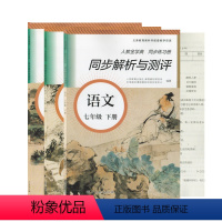 2022语文 七年级下 [正版]2023年人教金学典同步练习册同步解析与测评语文七八九年级下册人教版RJ789下语文人民
