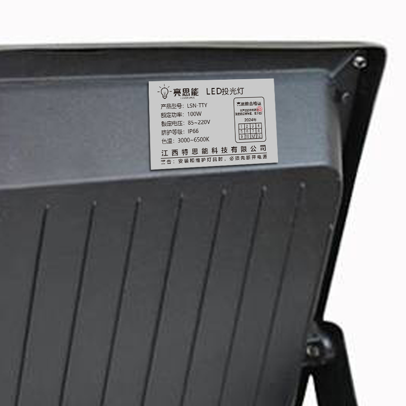 亮思能 LED投光灯 贴片投光灯 100W LSN-TTY 个高清大图