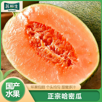 [苏鲜生]新鲜哈密瓜 净重2.7斤 1个左右 应季水果 新鲜甜瓜 鲜果1