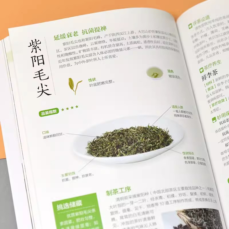 [正版]中国茶入门图鉴从喝茶到懂茶的中国茶文化手册茶文化饮食文化类中国茶经大观品茶图典茶道茶艺大观爱上花草茶高清大图