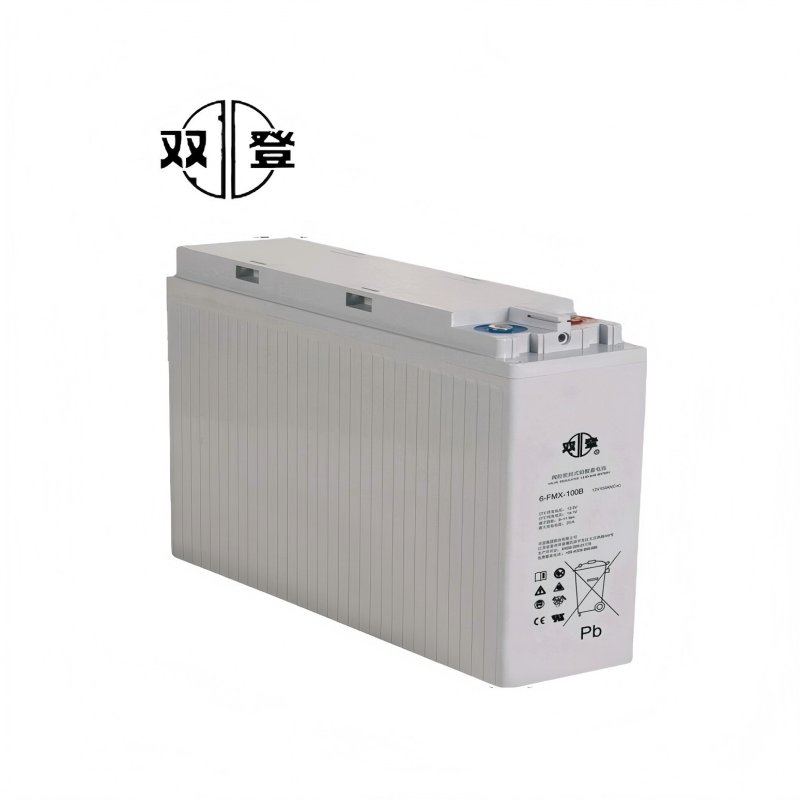 双登狭长型蓄电池6-FMX-100B高清大图