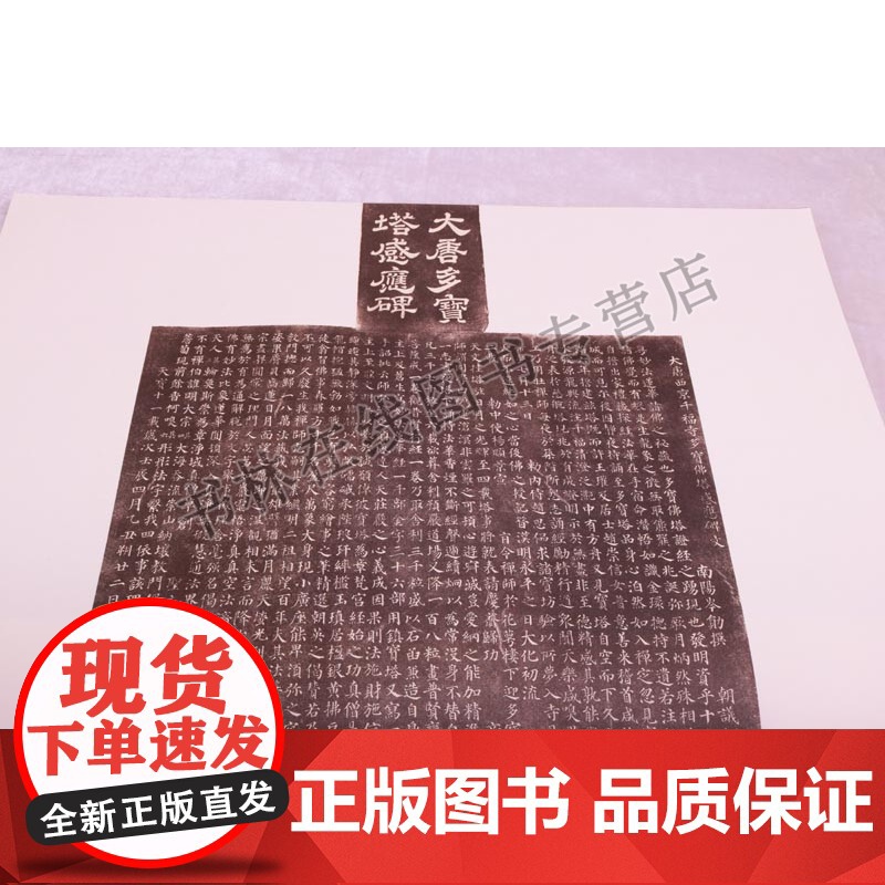 中国具有代表性书法作品放大本系列 颜真卿 多宝塔碑 张海 河南美术出版社高清大图