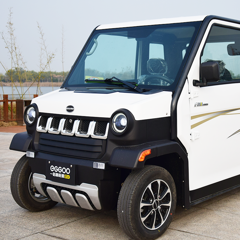 四轮车成人电动汽车新能源轿车全封闭电瓶车老人成人女士接送孩子代步