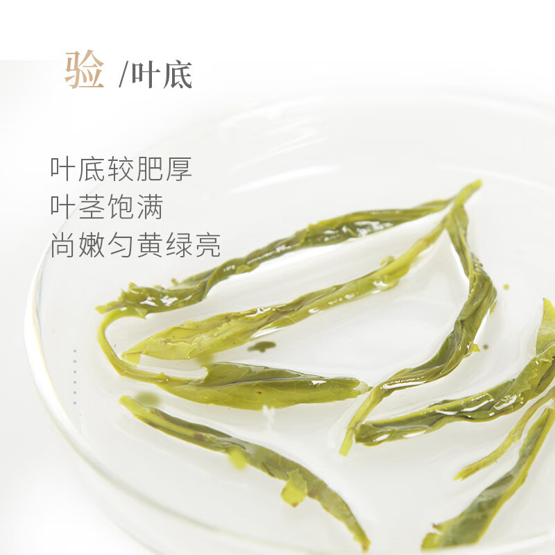 谢裕大绿茶雨后三级烘青绿茶黄山毛峰匠心300绿茶250g高清大图