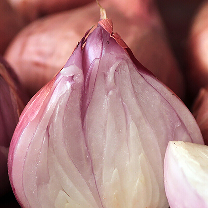 博多客东北小毛葱毛葱头珠葱小圆葱红葱头新鲜蔬菜