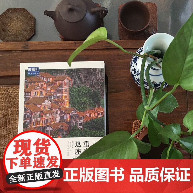重庆 这座城 藏羚羊旅行指南编辑部 著 旅游地图高清大图