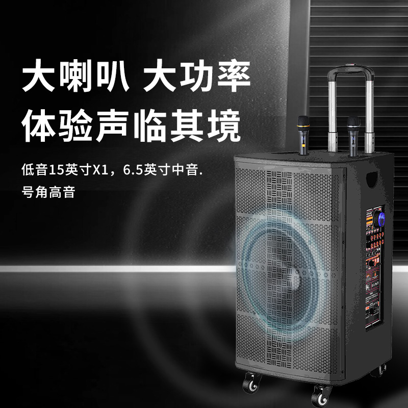 润普Runpu会议扩声拉杆音箱三分频15英寸低音卡拉OK户外直播带手持话筒拉杆音箱RP-EX60高清大图
