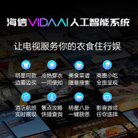 海信（Hisense)HZ49A65 A65系列 4K超高清 VIDAA AI人工语音智能液晶电视机 49英寸