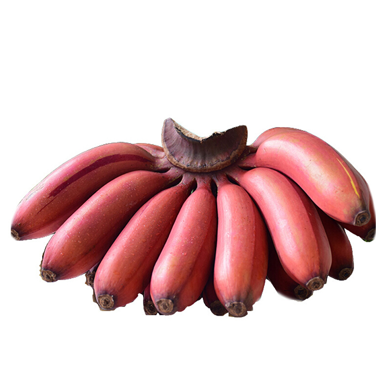 福建土楼 红香蕉 新鲜红皮香蕉 红美人 5kg