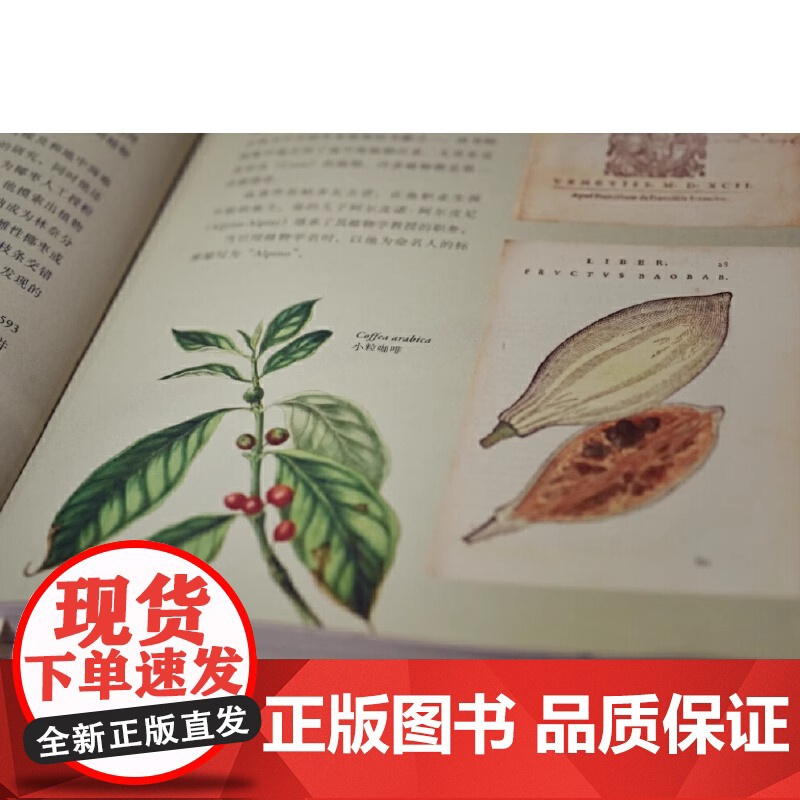 [正版书籍]正版 重庆大学科普书籍 英国皇家园艺学会植物学指南 花园里的科学和艺术 (英)杰夫·霍奇 著高清大图