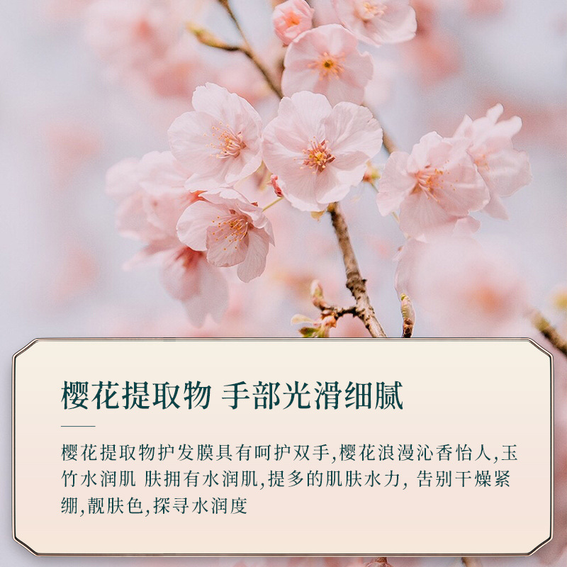 韩芬 白桃乌龙香氛护手霜150g 滋润保湿清爽补水手霜清香水润手部护理