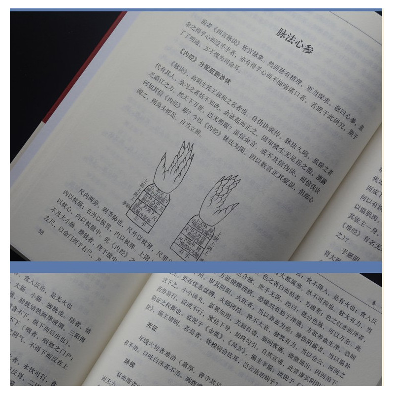 [正版]精装 医宗必读 伤寒论原文集注白话解 古典中医名著 中医学金鉴 医学入门中医自学百日通 诊断基础理论方剂 中医