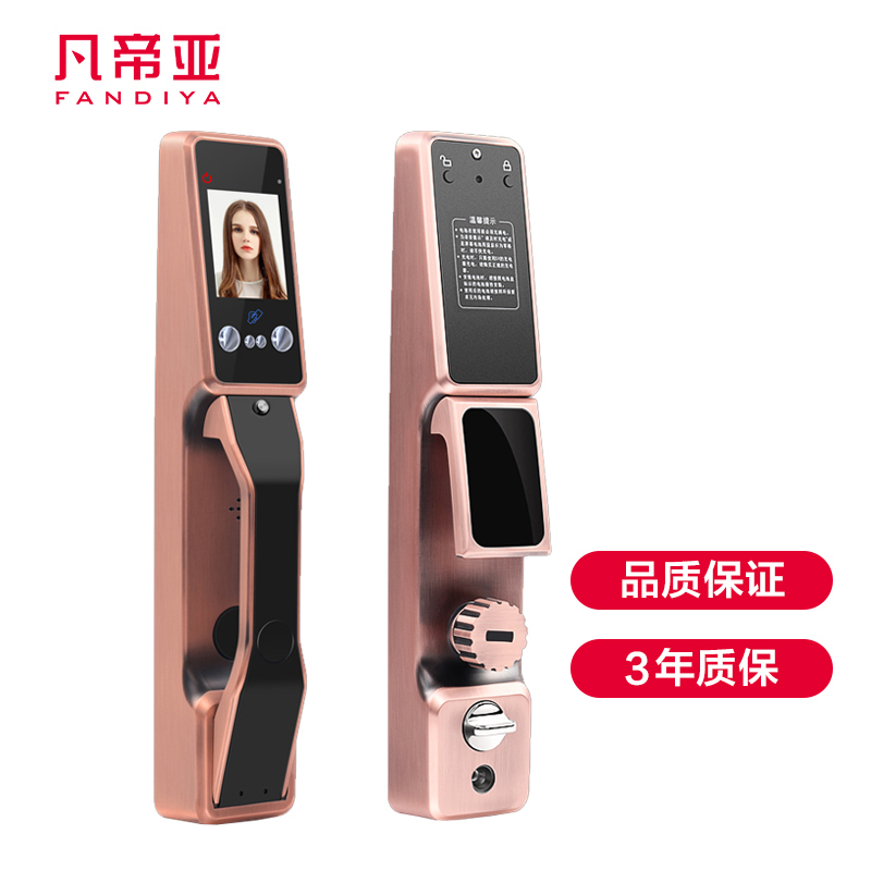凡帝亚智能门锁FDY-RLSB06人脸识别静掌纹识别电子锁