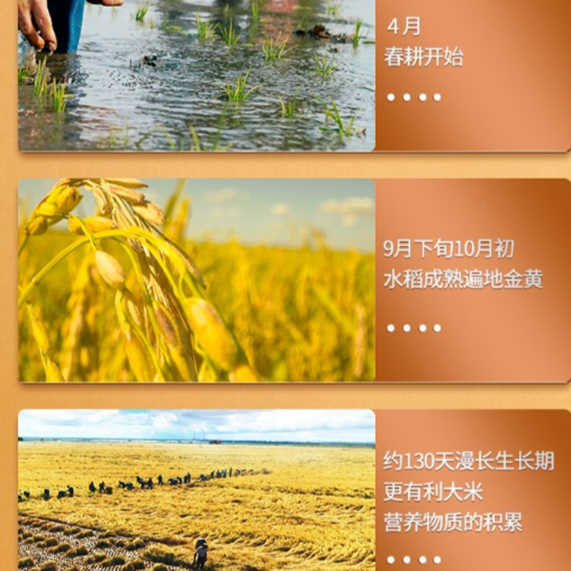 十月稻田(SHIYUEDAOTIAN) - 长粒香米2.5kg高清大图