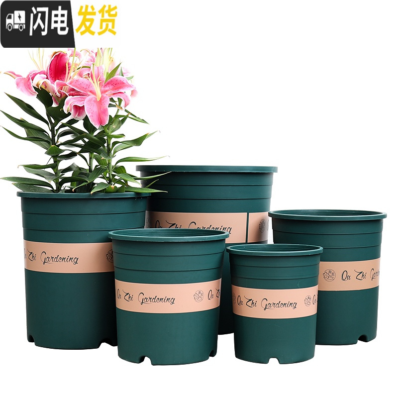 三维工匠升级加厚加仑盆绿萝多肉月季花盆塑料花盆圆口控根树脂加仑盆 [3个装]3号[单花盆] 大花盆容器