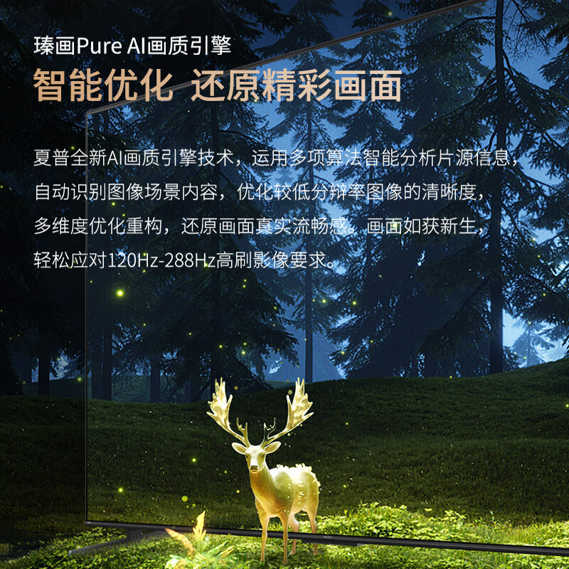 夏普(SHARP) 100英寸24年新品 4K超清4+128G语音智能网络平板液晶电视机4T-C100GN7000A