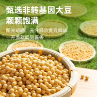 海天零添加酱0添加黄豆酱300g下饭拌面手抓饼东北大酱厨房调料