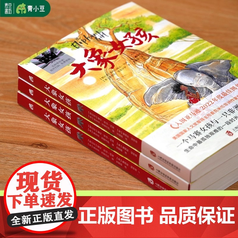 大象女孩 2024百班千人暑期书目小学生6年级名师 一个马赛女孩与一只非洲象的传奇故事女孩成长孤独艰难人与自然大奖作家高清大图