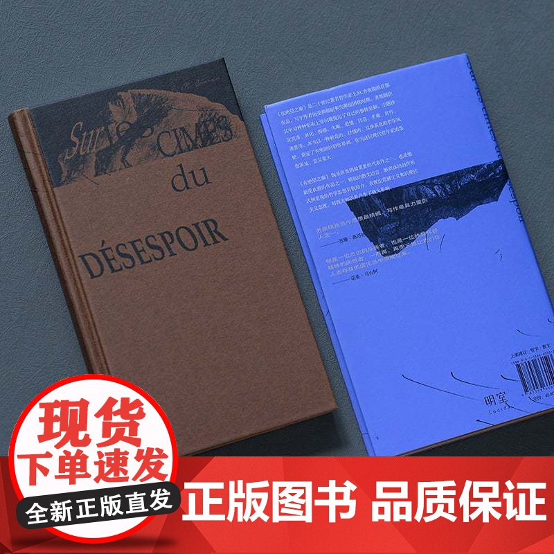 在绝望之巅 “二十世纪的尼采”、现代欧洲伟大的哲学家 E.M.齐奥朗初试啼声之作 简体中文译介版 正版书籍 北京联合出版高清大图
