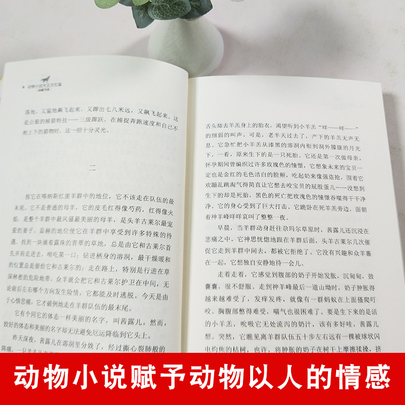 骆驼王子 [正版] 斑羚飞渡 动物小说大王沈石溪品藏书系狼王梦青少年课外书8-10-12-15周岁四五六年级小学生课外阅