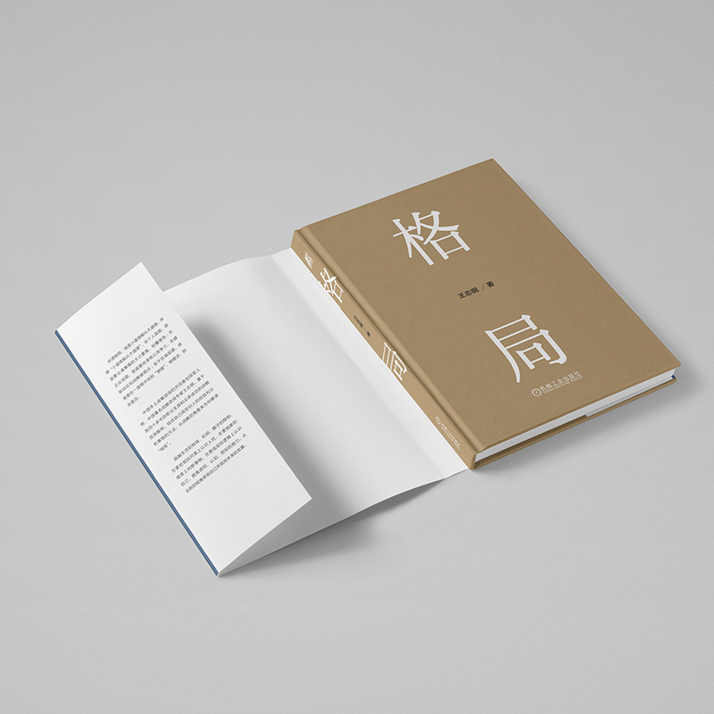 [正版]王志纲2024新作王志纲谈格局 小道理服从大道理 战略思想认知破局战略管理咨询案例 智纲智库企业经营管理书籍高清大图