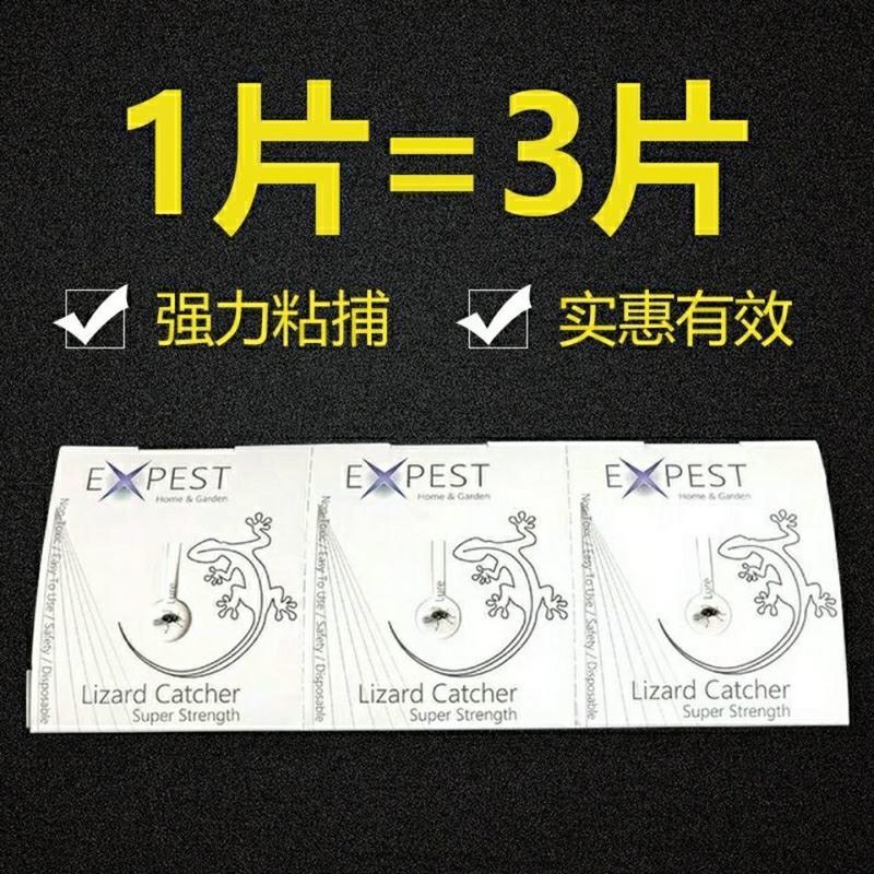 驱壁虎神器贴室内灭蟑螂老鼠蚂蚁壁虎蜥蜴粘驱壁虎粘板家用餐厅 1片装 地上使用