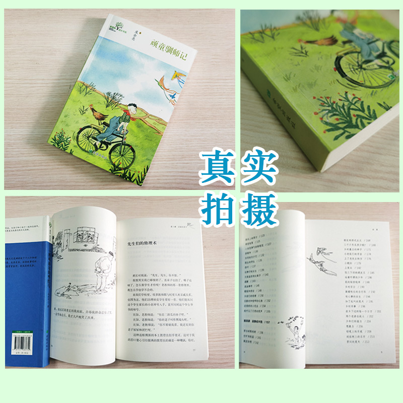 醉染图书顽童驯师记97875379837高清大图