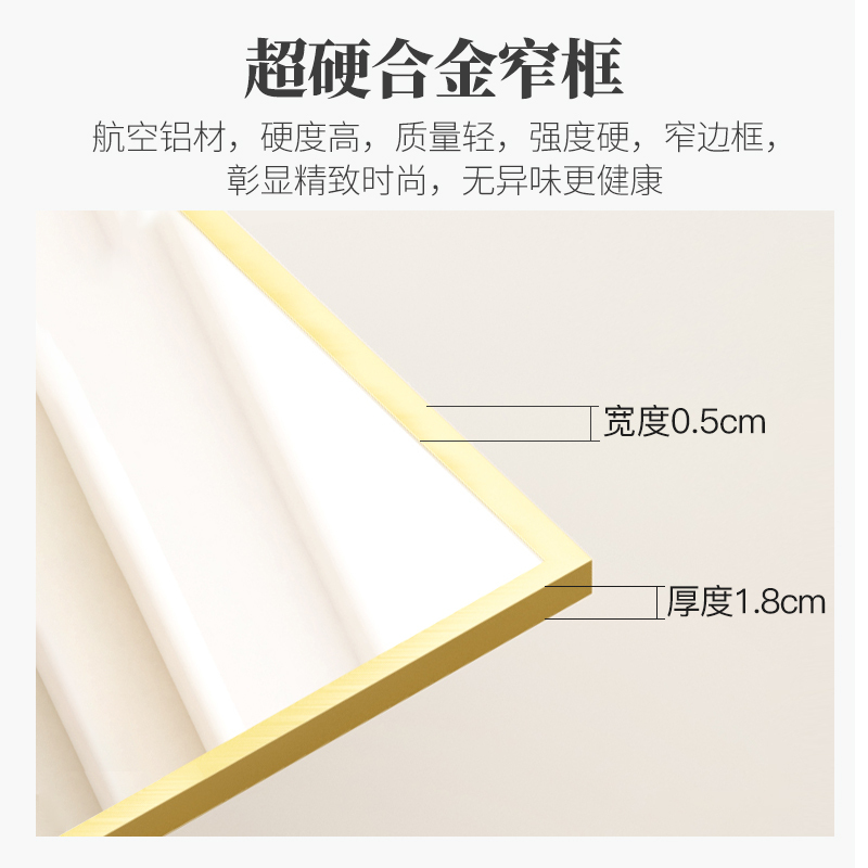简约全身镜子网红落地镜学生宿舍穿衣镜服装店少女卧室家用试衣镜