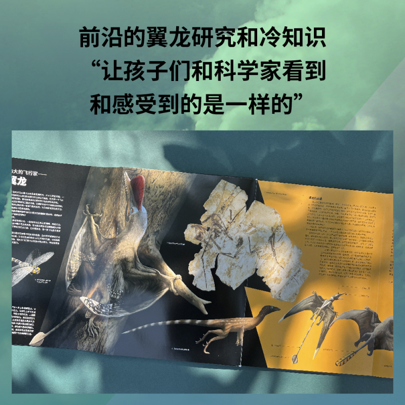 PNSO翼龙博物馆.翼手龙+非翼手类 [正版]PNSO翼龙博物馆:翼手龙+非翼手类 史前年代 翼龙争霸天空 儿童科普 实