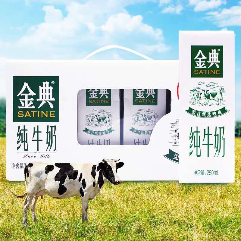 伊利 金典纯牛奶 250ml