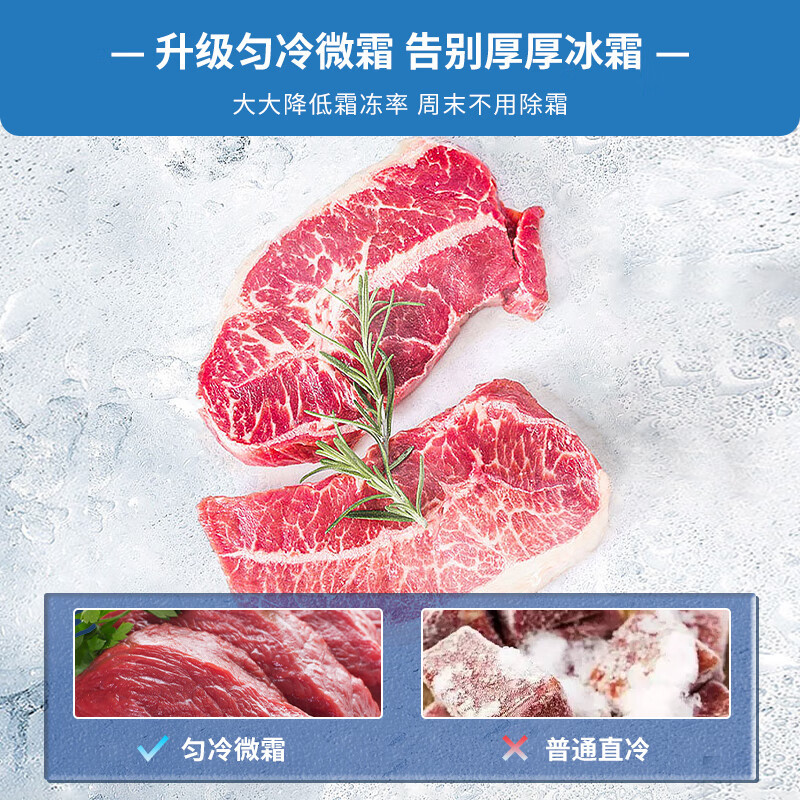 创维(Skyworth)186升小冰箱小型电冰箱 家用租房双开门两门冰箱 节能省电低音 二门双温 BCD-186D_银高清大图