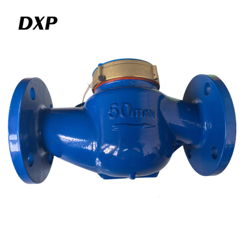 DXP 旋翼液封水表 LXS-50F 台高清大图