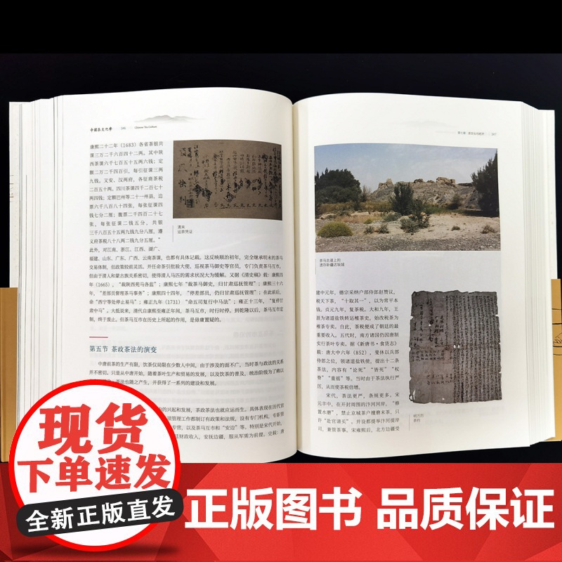 正版 中国茶文化学 茶文化活动 茶文化发展历程 姚国坤著 少林寺 永信高清大图