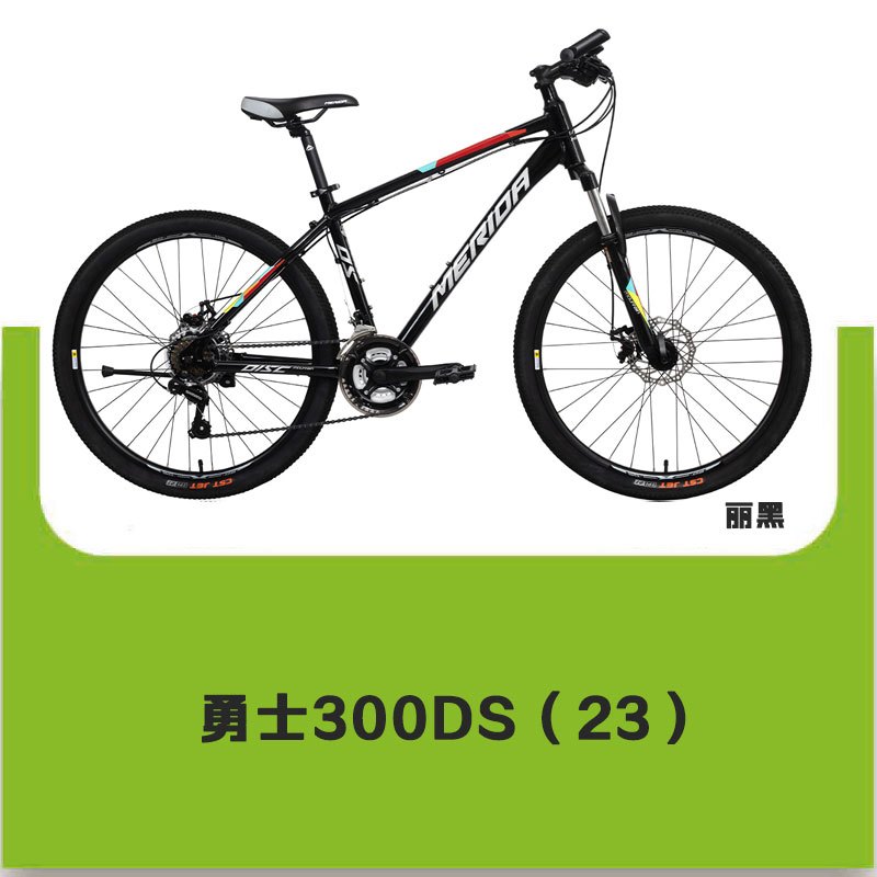 [预售车型]MERIDA美利达 勇士300DS 山地自行车 21S 变速